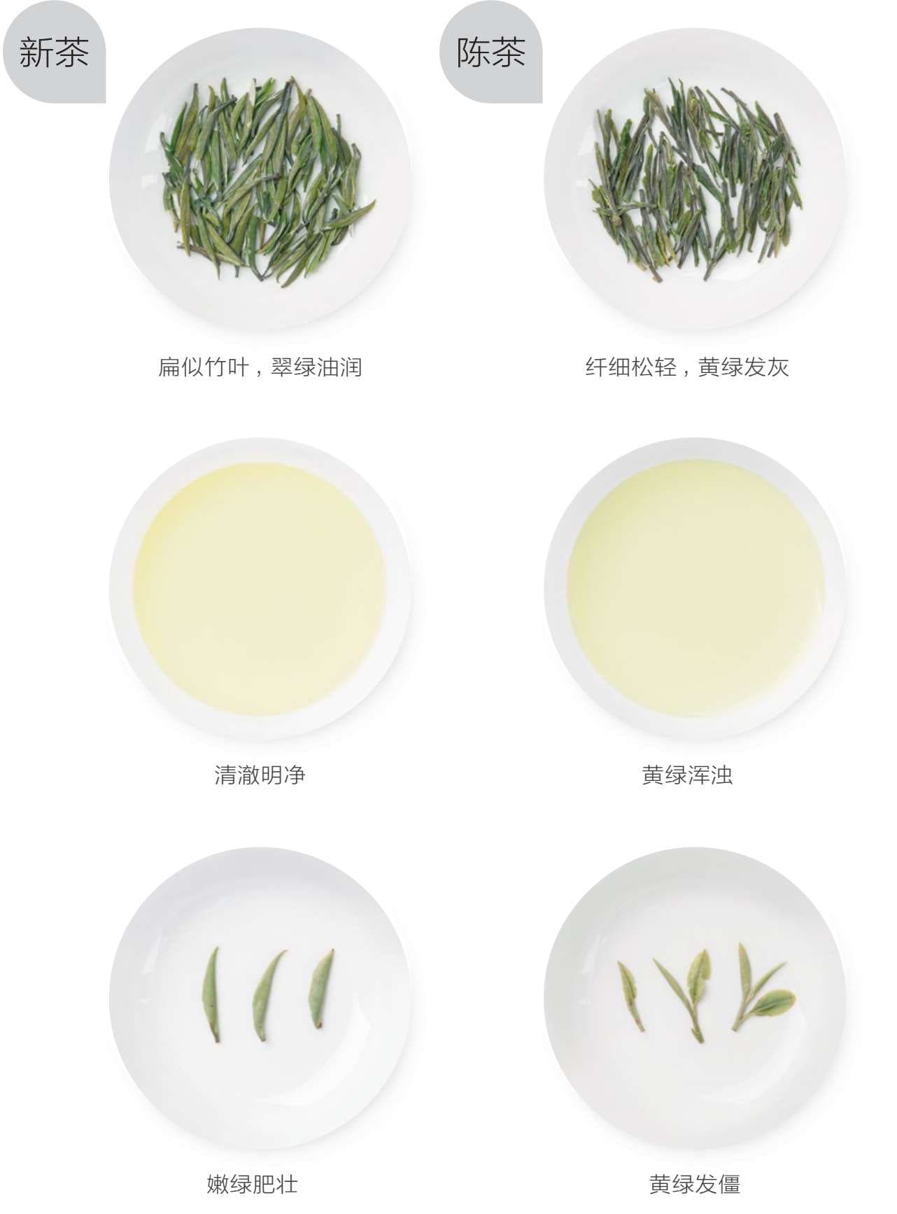 Taihu Emerald Bamboo