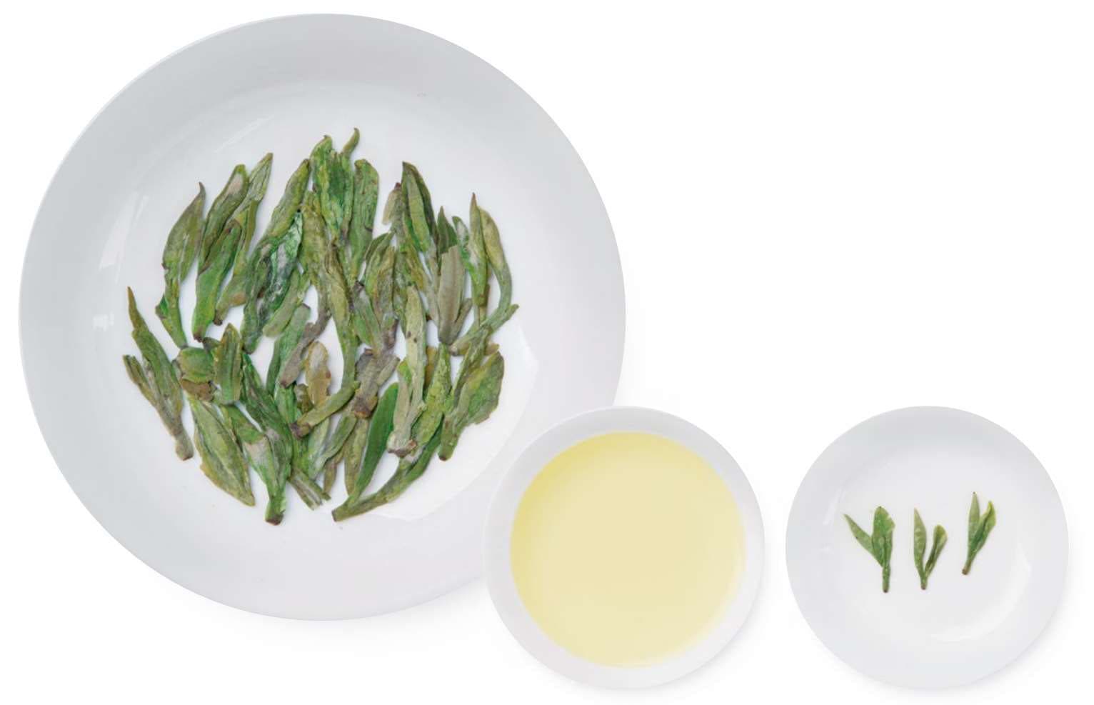 Jiangshan Green Peony