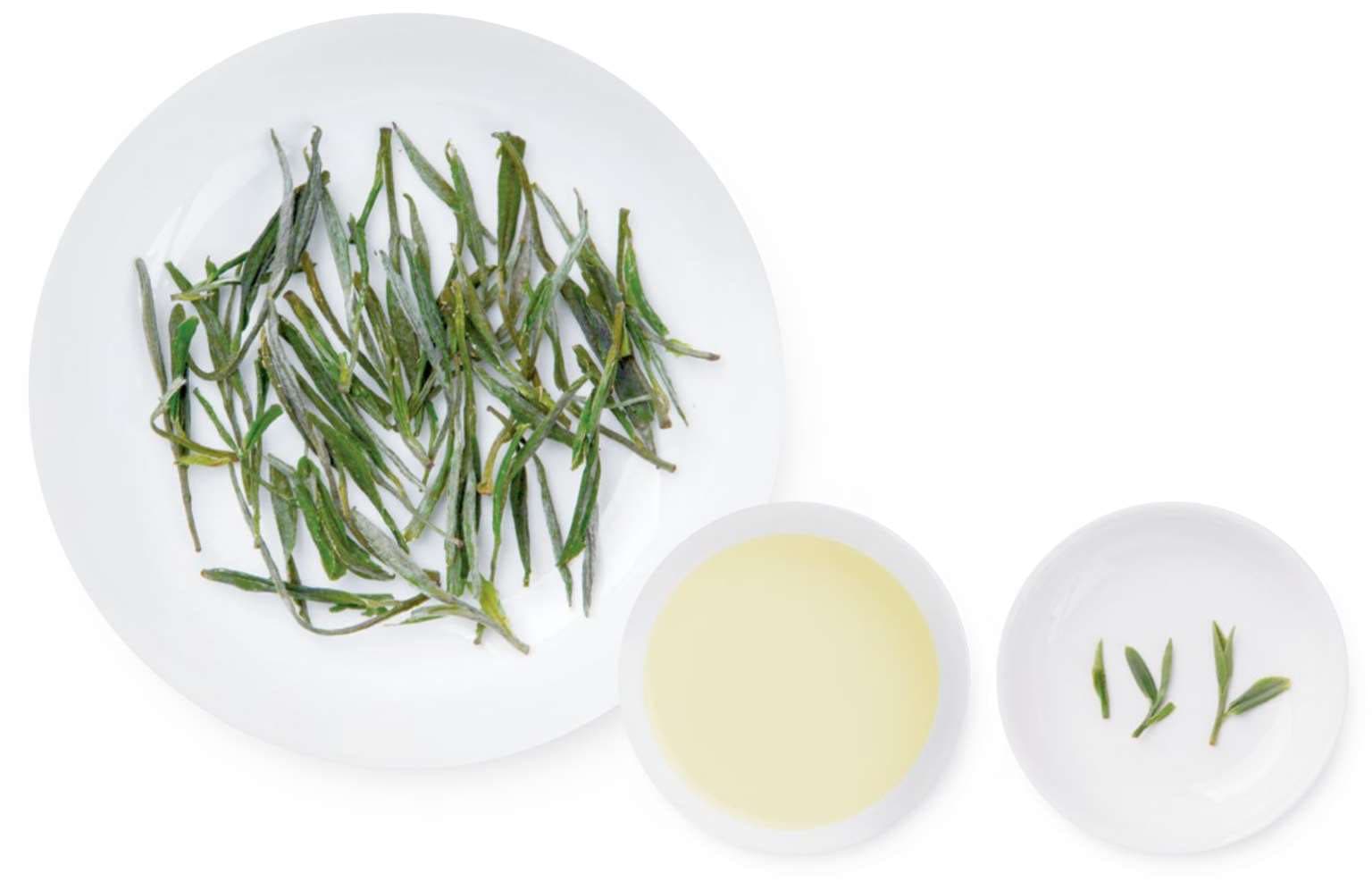 Yuexi Emerald Orchid