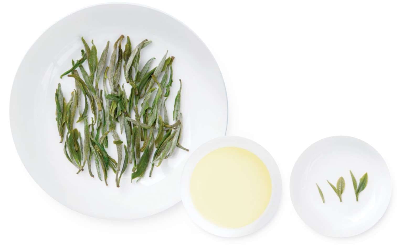 Shucheng Small Orchid