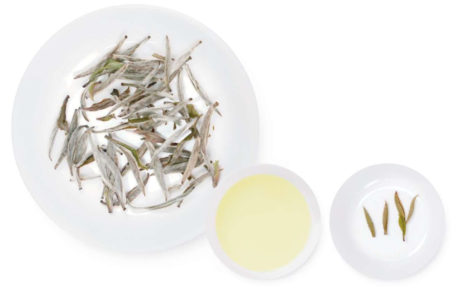 Baihao Silver Needle