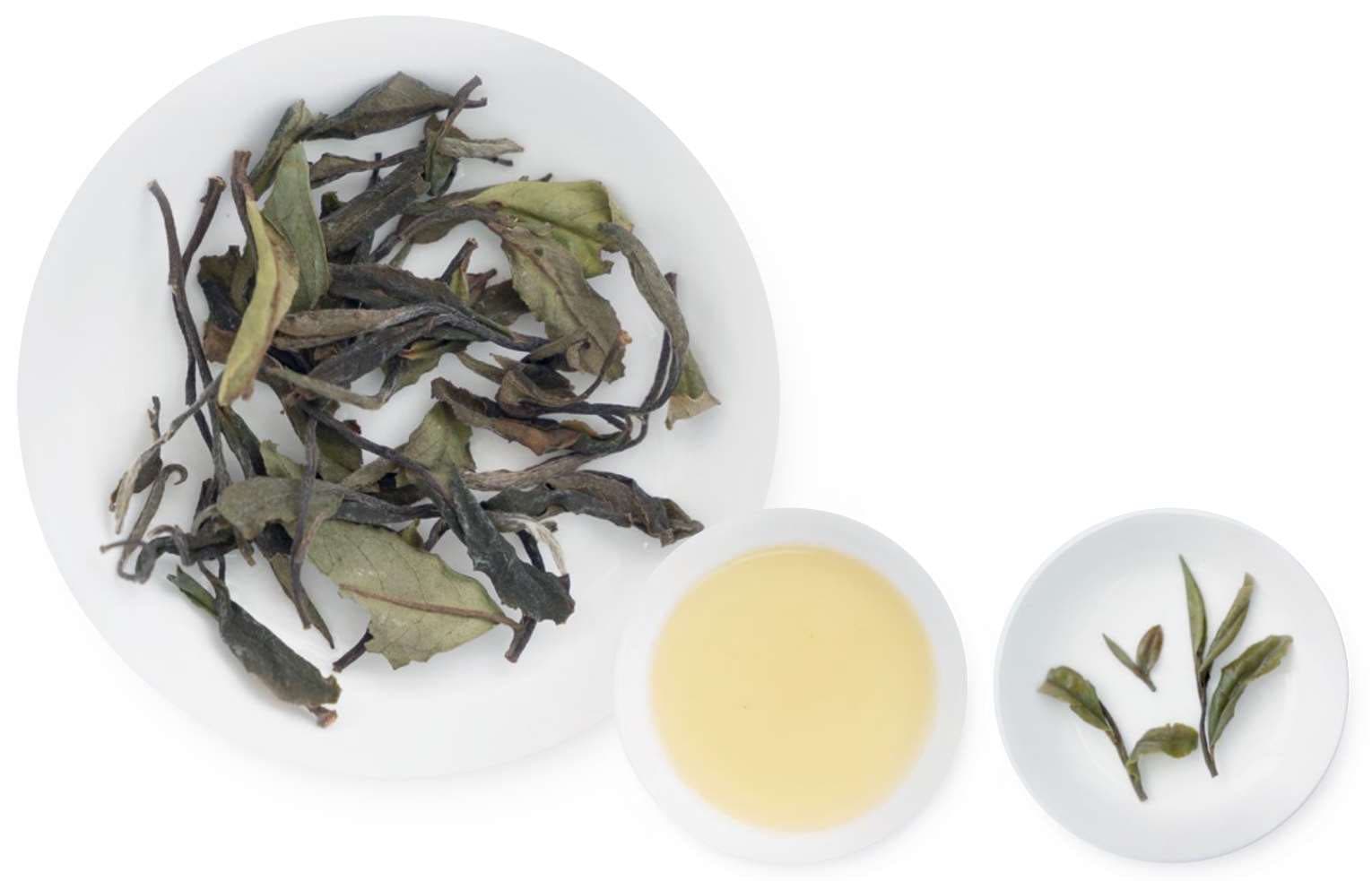 Wild White Tea