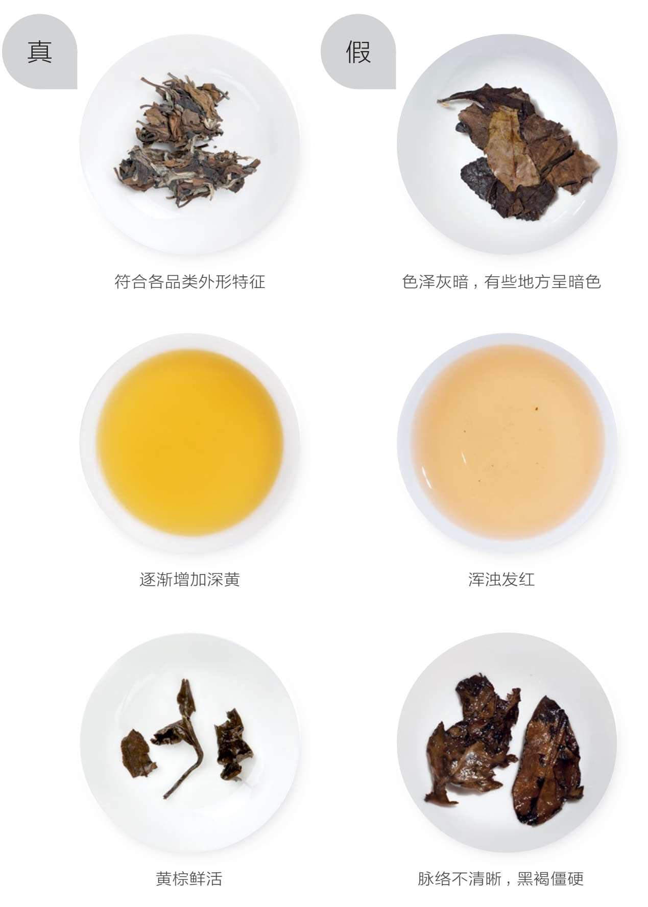 Aged White Tea