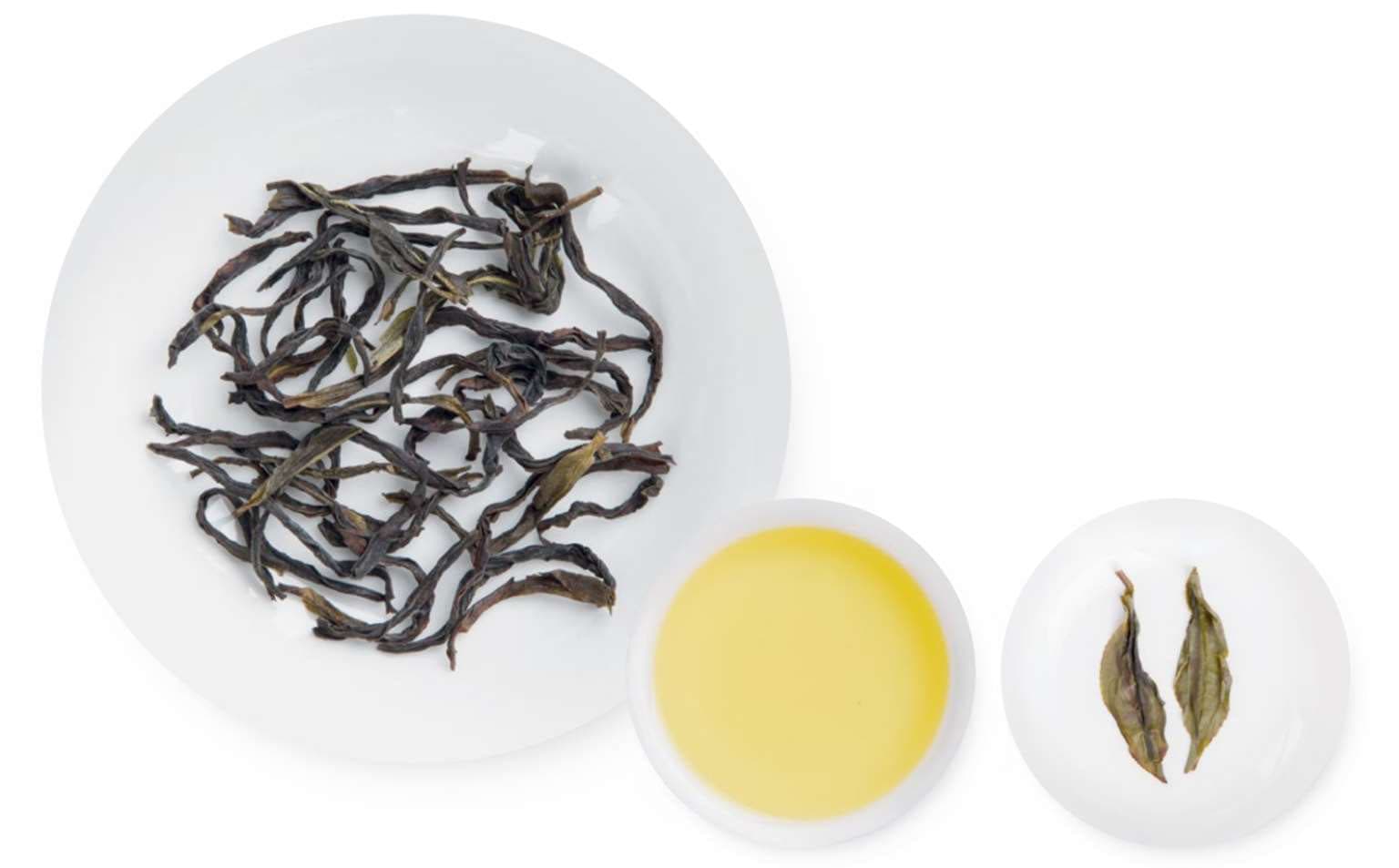 Guangdong Oolong Song Cultivar Phoenix Dancong