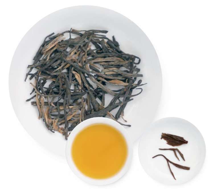 Moonlight Golden Branch