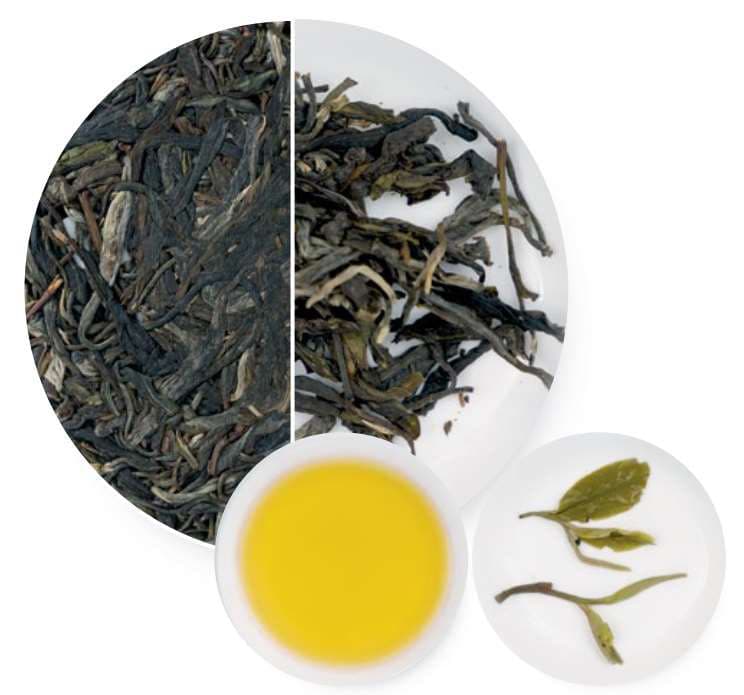 Manzhuan Tea
