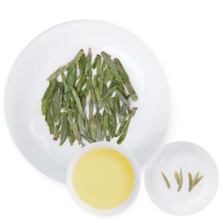 Osmanthus Longjing