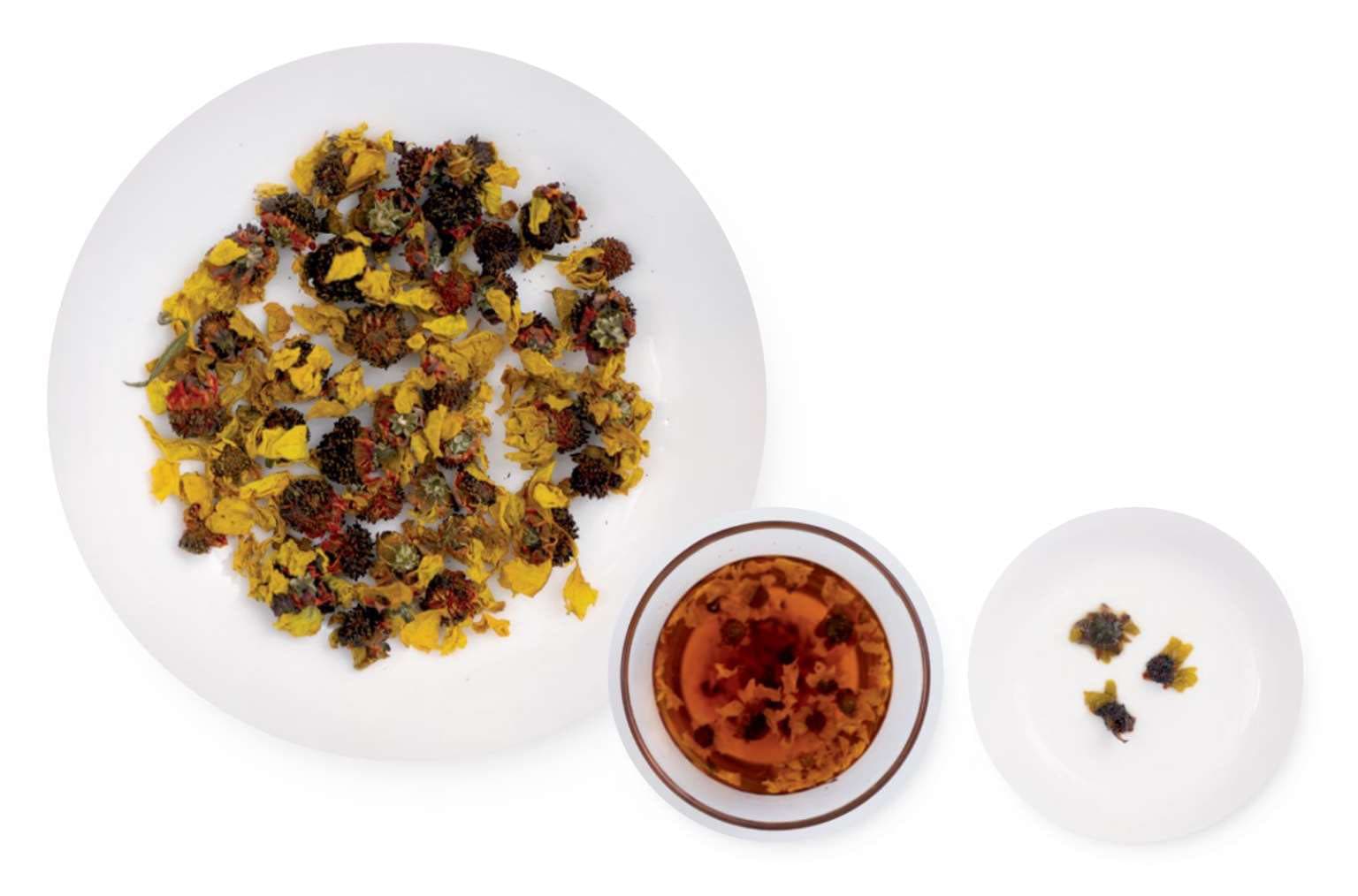 Kunlun Snow Chrysanthemum